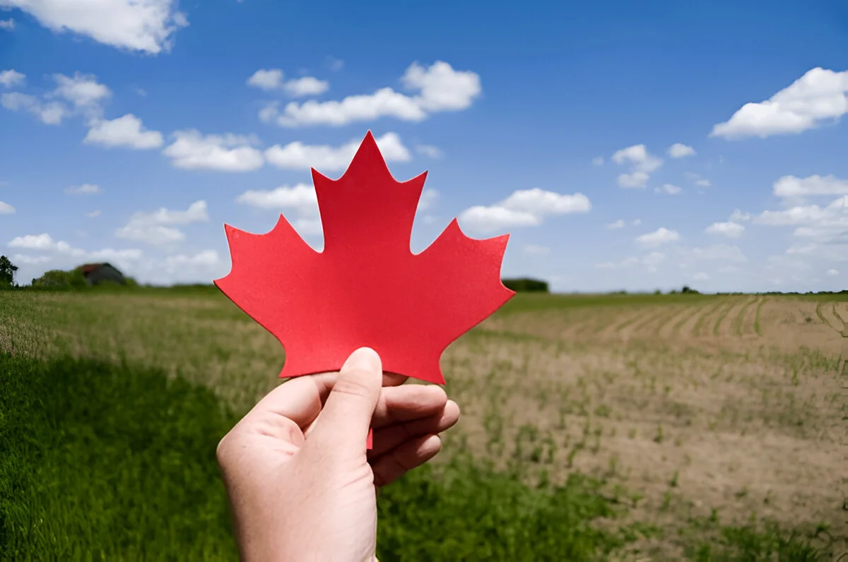 Best immigration consultants in Delhi Best immigration consultants in Delhi