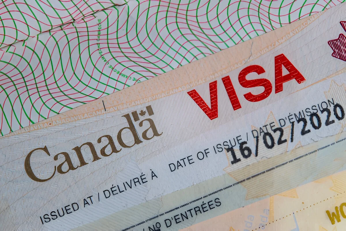 Best immigration consultants in Delhi Best immigration consultants in Delhi