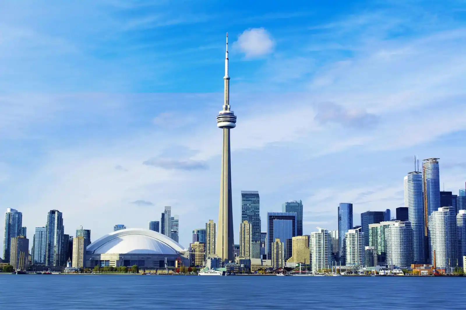 Best immigration consultants in Delhi Best immigration consultants in Delhi