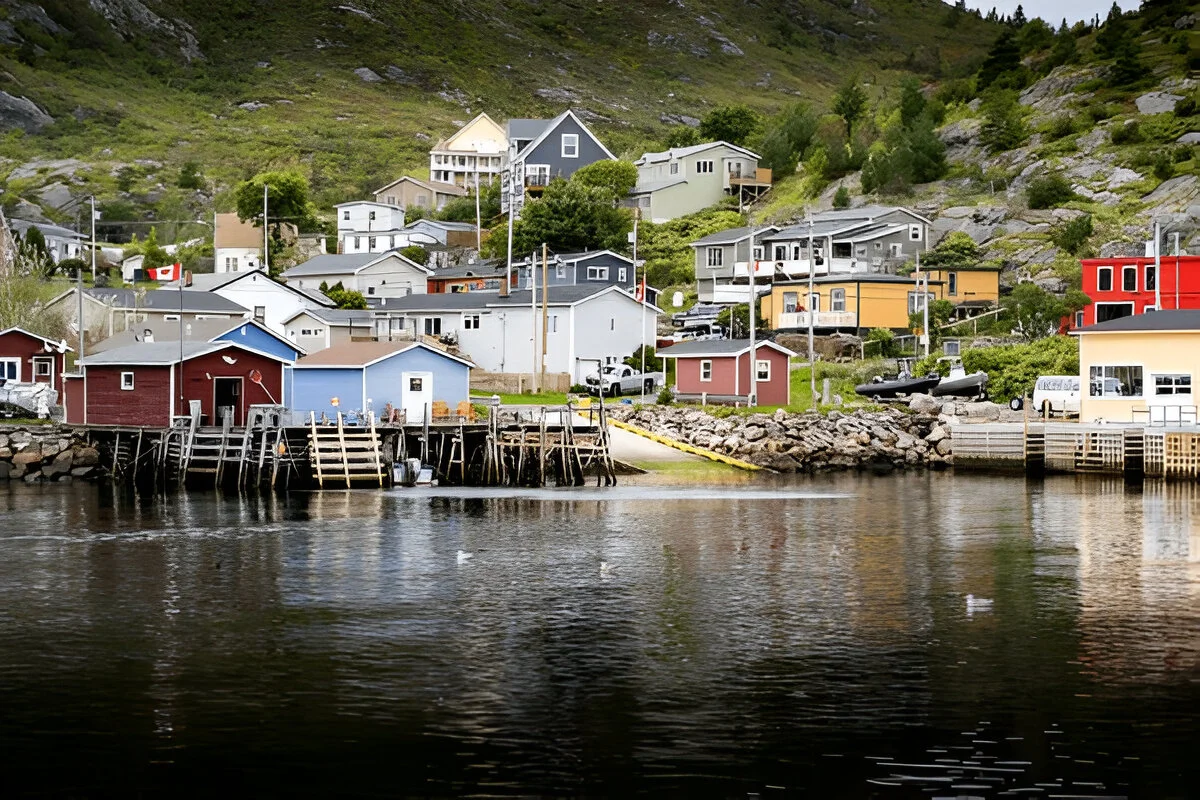 Best immigration consultants in Delhi Best immigration consultants in Delhi