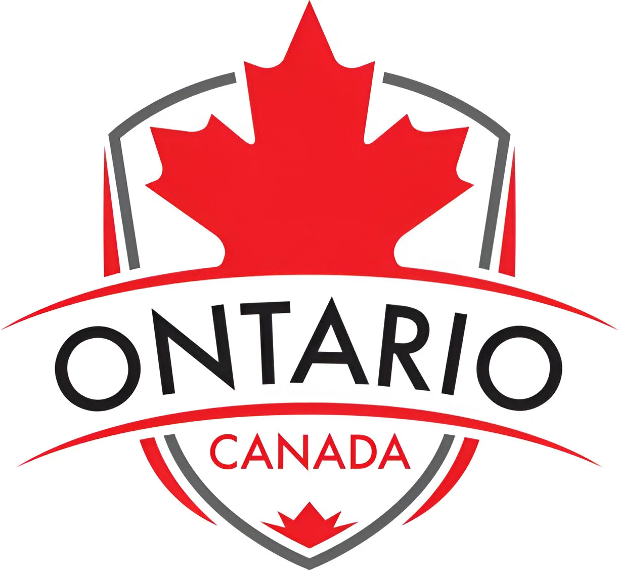 Best immigration consultants in Delhi Ontario Provincial Nominee Program