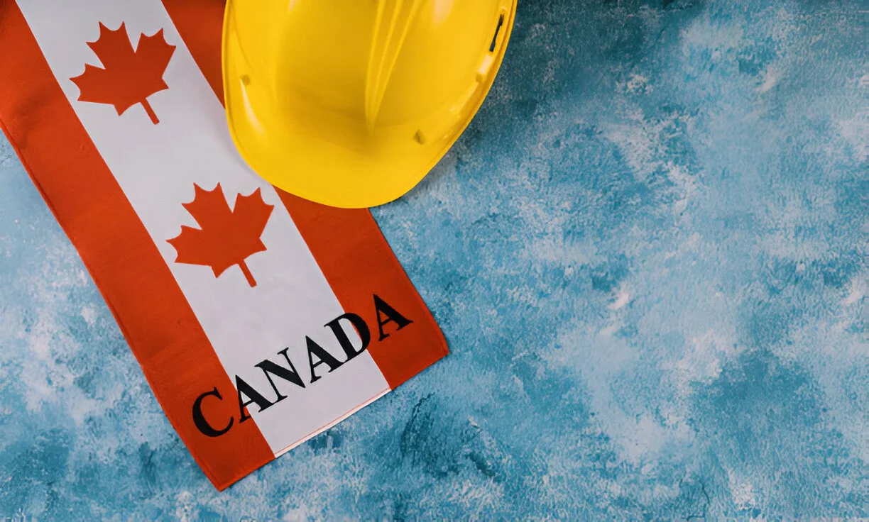 Best immigration consultants in Delhi Best immigration consultants in Delhi