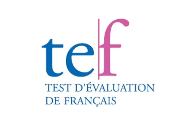 Best immigration consultants in Delhi Best immigration consultants in Delhi